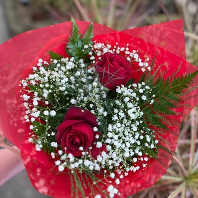 0002 rosas