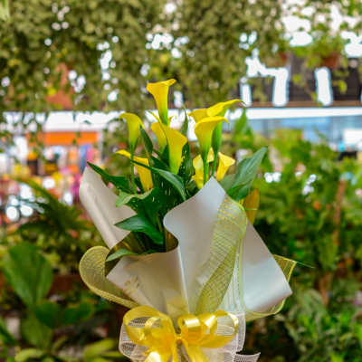 DSC_2021