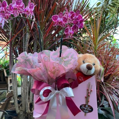 envelope urso