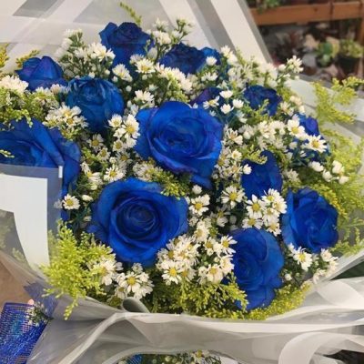 rosas azuis