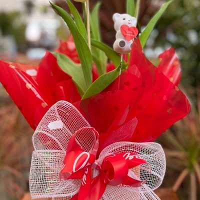 tulipas